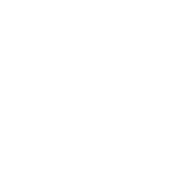 Logo for Exercism